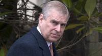 Prinz Andrews Personenschutz soll die Steuerzahler Millionen gekostet haben.