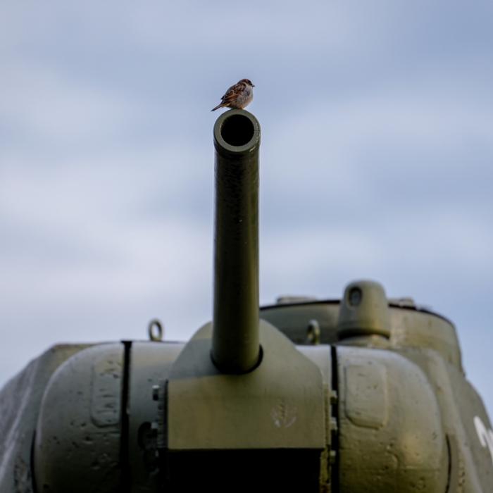 Schrottreife Panzer, veraltete Waffen! Die Lügen-Armee des Kreml-Diktator