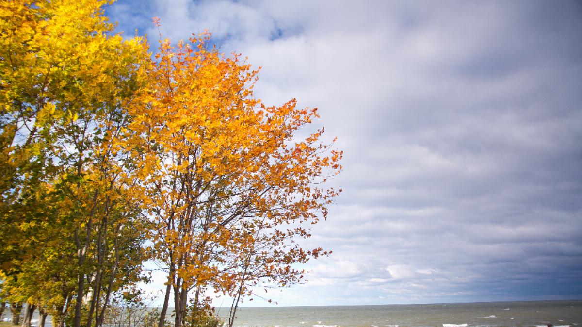 Herbst am Strand kann wundersch&ouml;n sein. (Foto)