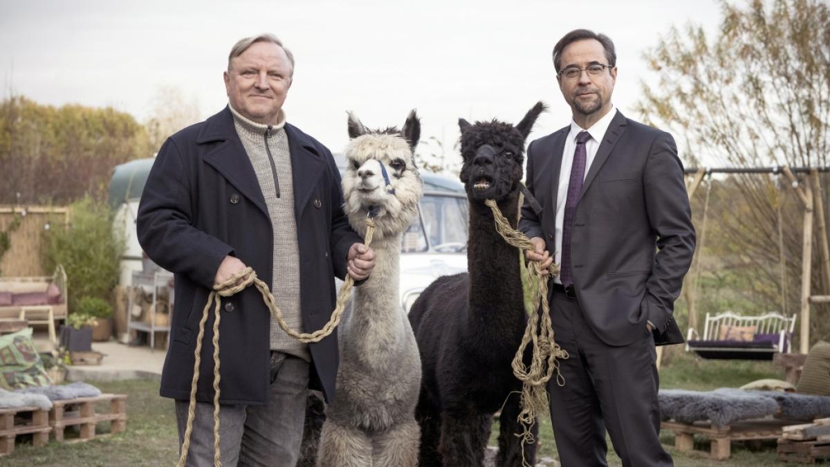 Axel Prahl (links) und Jan Josef Liefers spielen das "Tatort"-Gespann aus M&uuml;nster. (Foto)