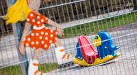 In einer Kindertagesstätte im thüringischen Ilmenau ist ein knapp einjähriger Junge gestorben (Symbolbild).
