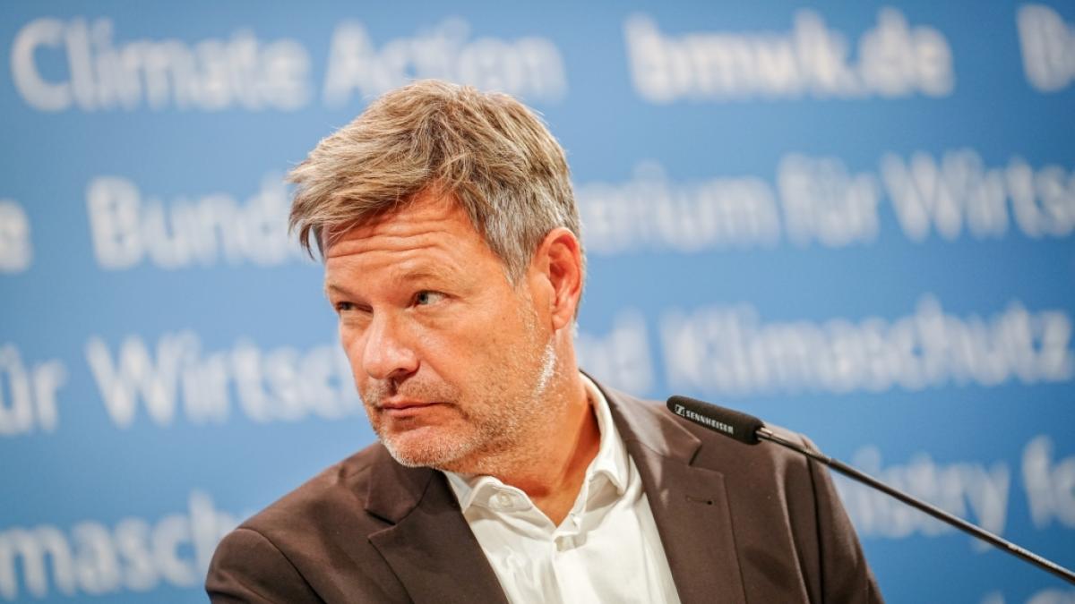 Wirtschaftsminister Robert Habeck steht wegen neuen &Ouml;kostrom-Pl&auml;nen der Bundesnetzagentur in der Kritik. (Foto)