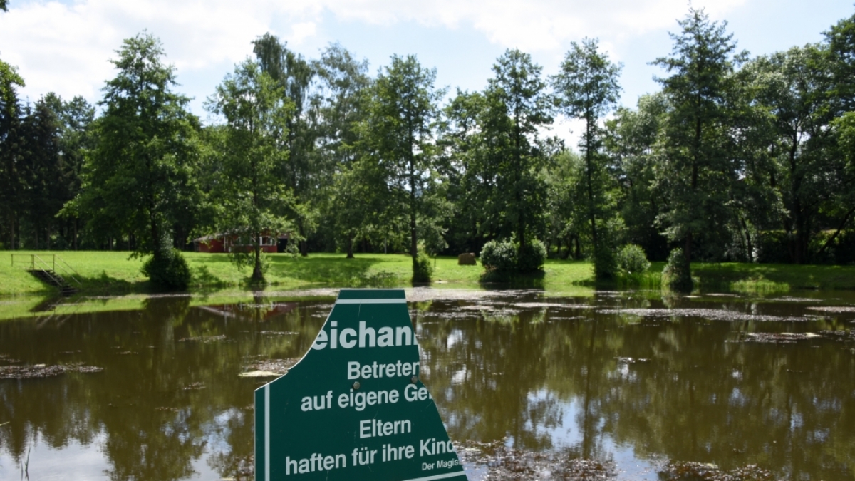 Im Zwickauer Stadtteil Planitz wurde die Leiche einer 17-J&auml;hrigen in einem Teich gefunden. (Foto)