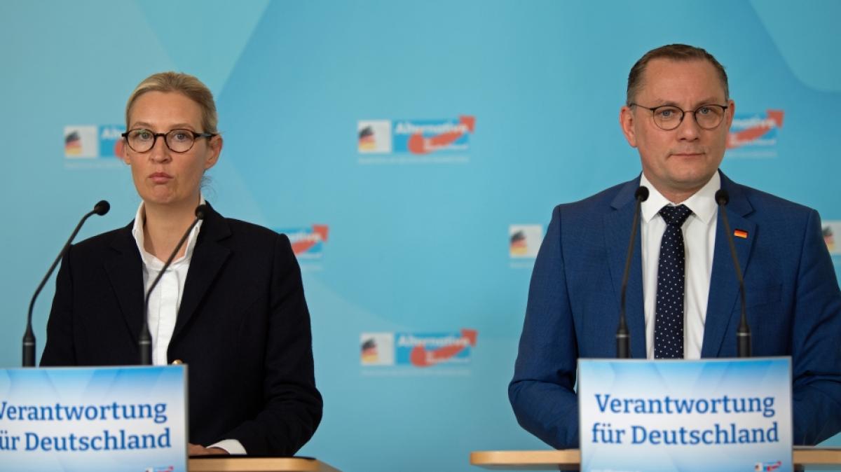 Die AfD st&uuml;rzt bei W&auml;hler:innen in Sachsen-Anhalt ab. (Foto)