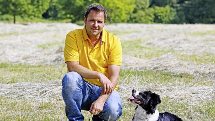 Hundeprofi Hundeprofi