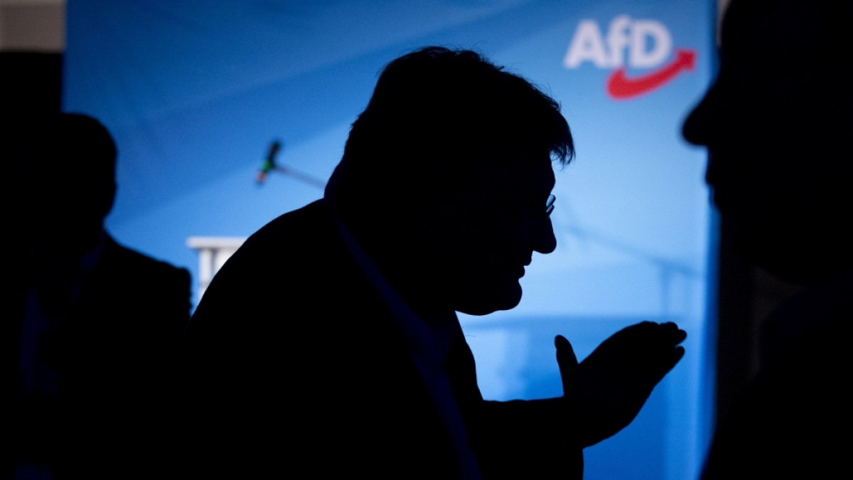 Aktueller Stand von Gro&szlig;spenden an die AfD (Symbolbild). (Foto)