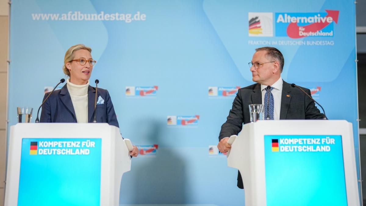 Die AfD-Vorsitzenden Alice Weidel und Tino Chrupalla k&ouml;nnen sich &uuml;ber einen weiteren Umfrage-Rekord f&uuml;r ihre Partei freuen. (Foto)