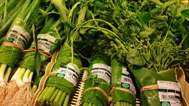 Kampf gegen den Plastikmüll