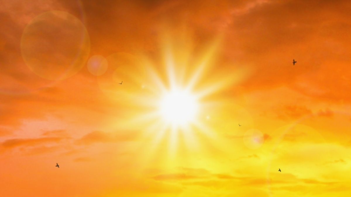 Wie hei&szlig; wird der Sommer im August? (Foto)
