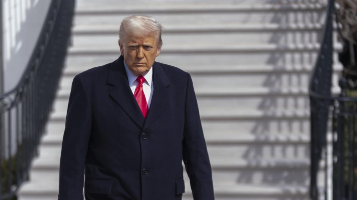 Donald Trump feiert die Bundestagswahl. (Foto)