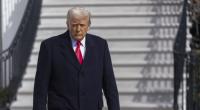Donald Trump feiert die Bundestagswahl.