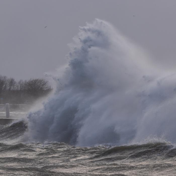 Orkanartige Böen im Anmarsch! Meteorologen warnen vor Unwetter