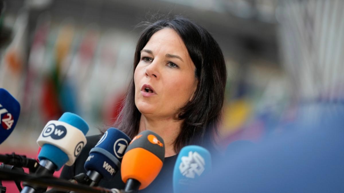Annalena Baerbock wurde f&uuml;r ihre Aussagen scharf kritisiert. (Foto)