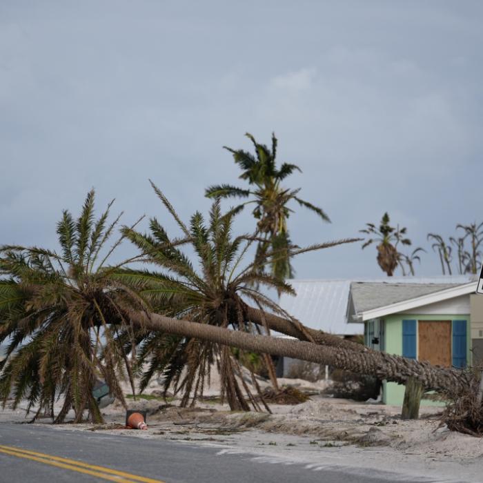 Nach Tropensturm - Millionen Menschen in Florida weiter ohne Strom