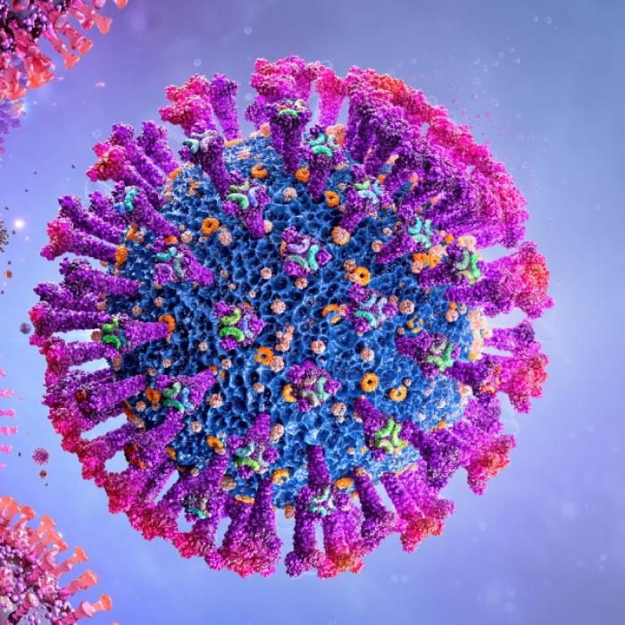 Neue Corona-Variante entdeckt! Wie gefährlich ist die neue Mutation?