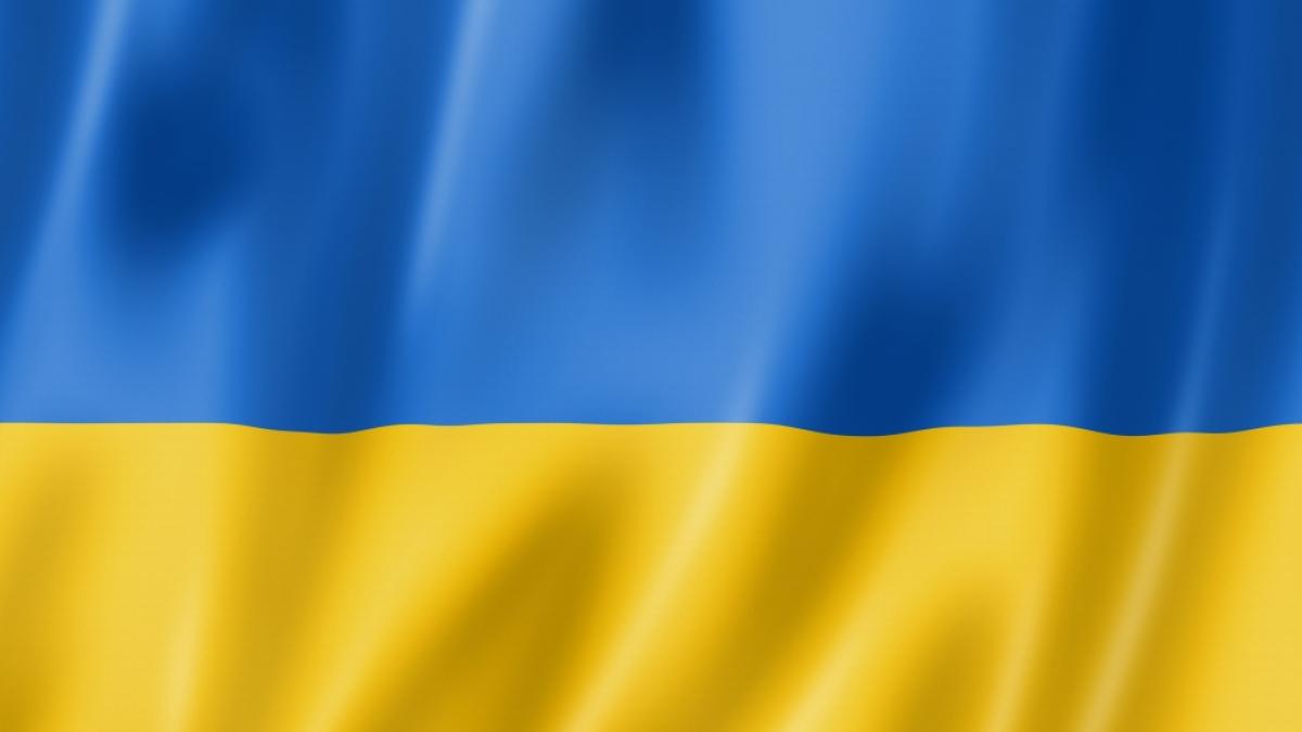 Zwischen russischen und ukrainischen Vertretern kam es bei einem Gipfel-Treffen jetzt zu einem Faustkampf wegen der ukrainischen Flagge. (Foto)