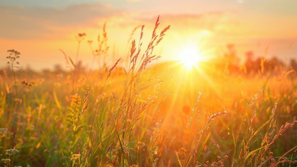 Wie k&ouml;nnte das Wetter im August werden? (Foto)