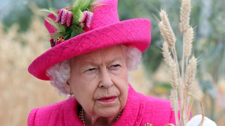 Ungebetene Besucher fällten auf Balmoral eine Birke.