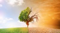 Sind die Auswirkungen des Klimawandels noch aufzuhalten?