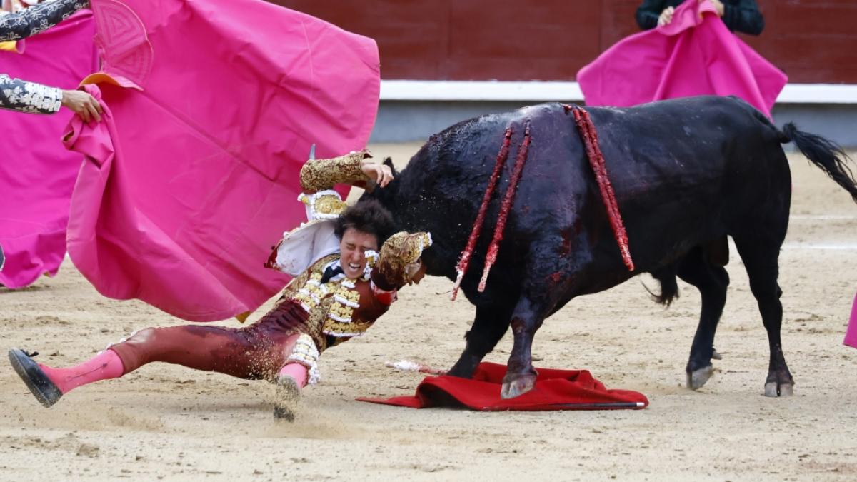 Matador Andr&eacute;s Roca Rey aus Peru wurde beim Stierkampf in der Arena Las Ventas (Madrid) von einem Stier aufgespie&szlig;t und schwer verletzt. (Foto)