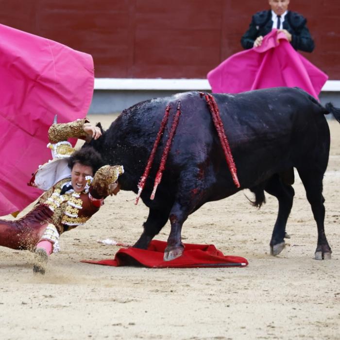 Horror-Szenen in Spanien - Matador von Stier aufgespießt