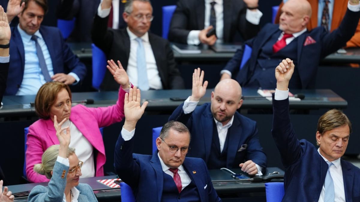Die AfD-Fraktion bei einer Sitzung im Bundestag. Die rechte Partei will k&uuml;nftig st&auml;rker auf das Thema Wirtschaft setzen. (Foto)