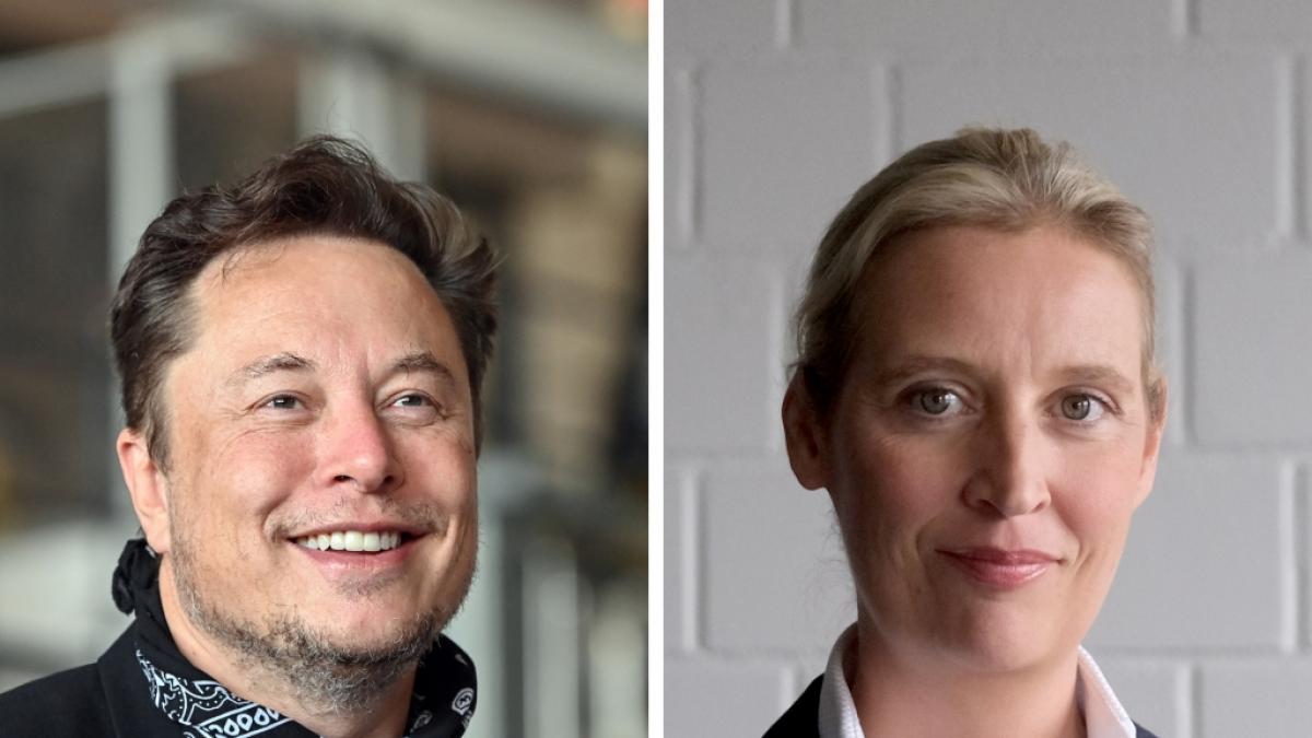 Tech-Milliard&auml;r Elon Musk und Alice Weidel, AfD-Vorsitzende (Foto)