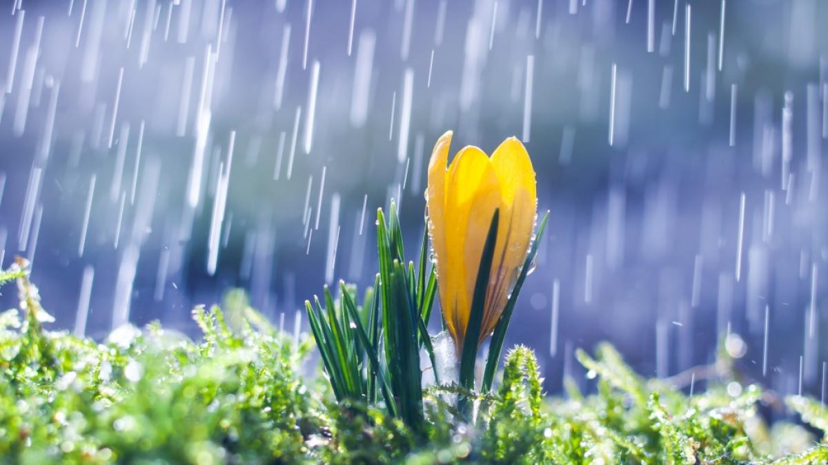 F&auml;llt der Fr&uuml;hling ins Wasser? (Foto)