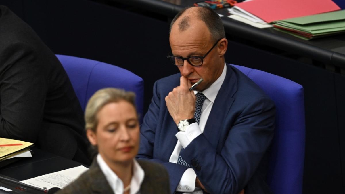 Die AfD hat den Abstand zur Union in einer Umfrage vergr&ouml;&szlig;ert. (Foto)