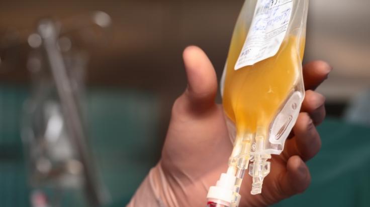 Kann Blutplasma als Mittel gegen das Coronavirus eingesetzt werden?