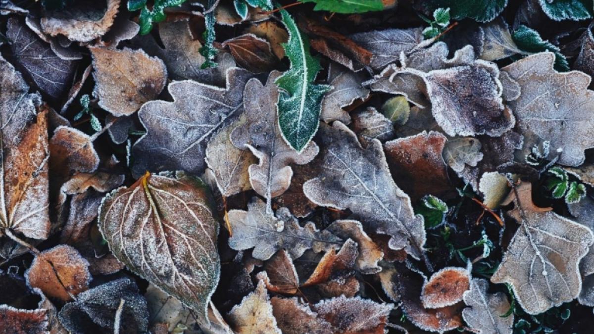 Die Nachrichten des Tages auf news.de:&nbsp;Unwetter im Oktober 2022: Wetterdienst warnt vor Frost! St&uuml;rzen die Temperaturen v&ouml;llig ab? (Foto)