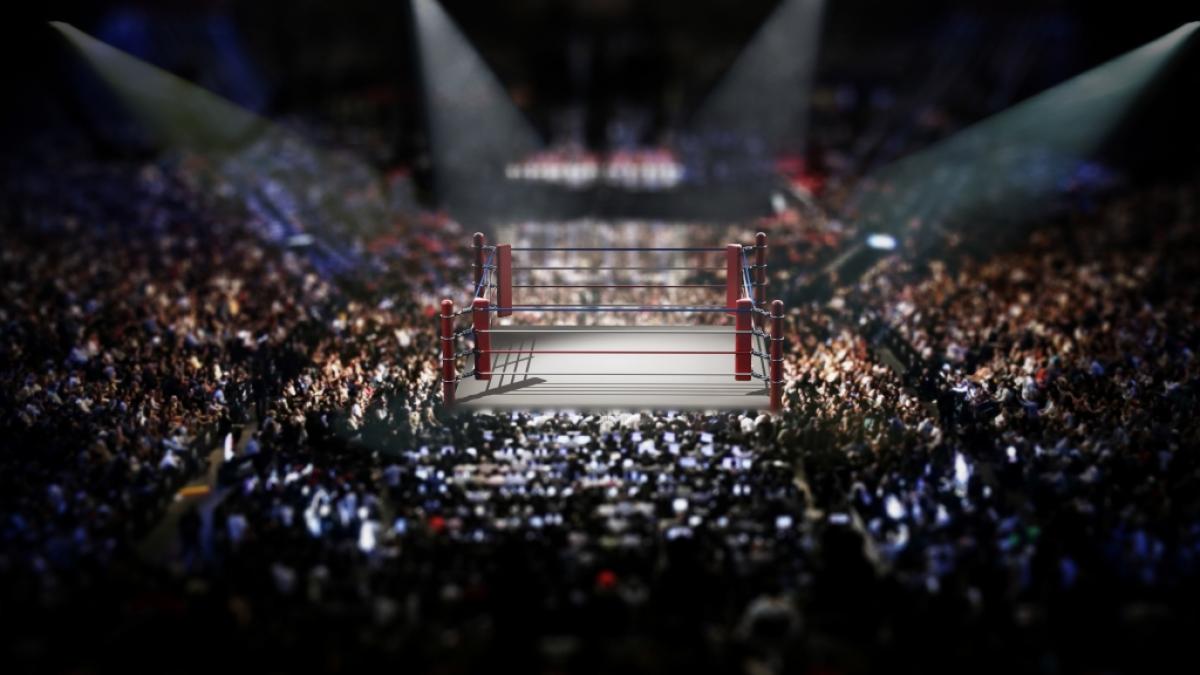 Wrestling-Fans d&uuml;rfen sich auf die Survivor Series freuen. (Foto)
