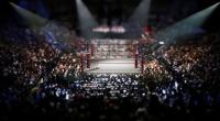 Wrestling-Fans dürfen sich auf die Survivor Series freuen.