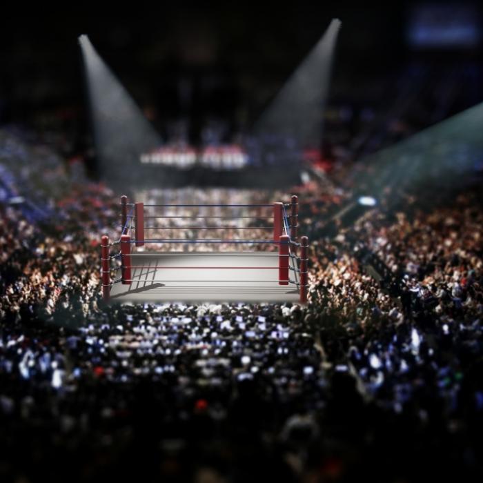 Brock Lesnar bezwingt Rey Mysterio, 