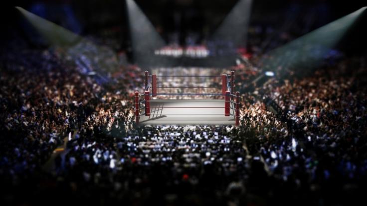 Wrestling-Fans dürfen sich auf die Survivor Series freuen.