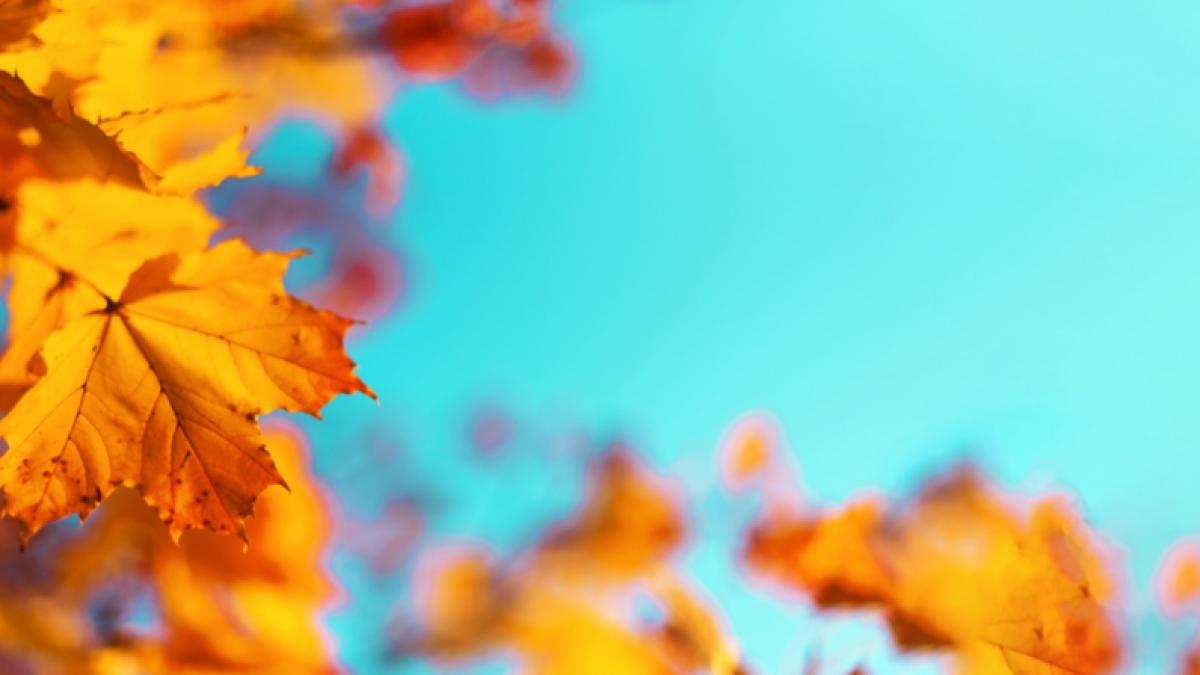 Deutschland darf sich auf einen Oktober-Sommer freuen. (Foto)