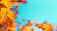 Deutschland darf sich auf einen Oktober-Sommer freuen.