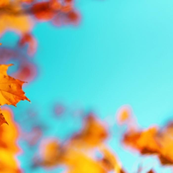 Experten prophezeien Hitze-Hammer! SO heiß wird der Herbst