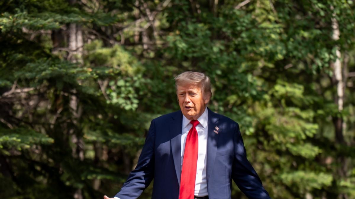 Donald Trump schw&auml;rmt im Netz von "gro&szlig;artigsten Masten". (Foto)