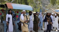 Kämpfer der Taliban haben es vor allem auf junge Frauen abgesehen.
