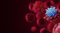 Die Coronavirus-Pandemie ist noch immer das vorherrschende Thema in den Medien.