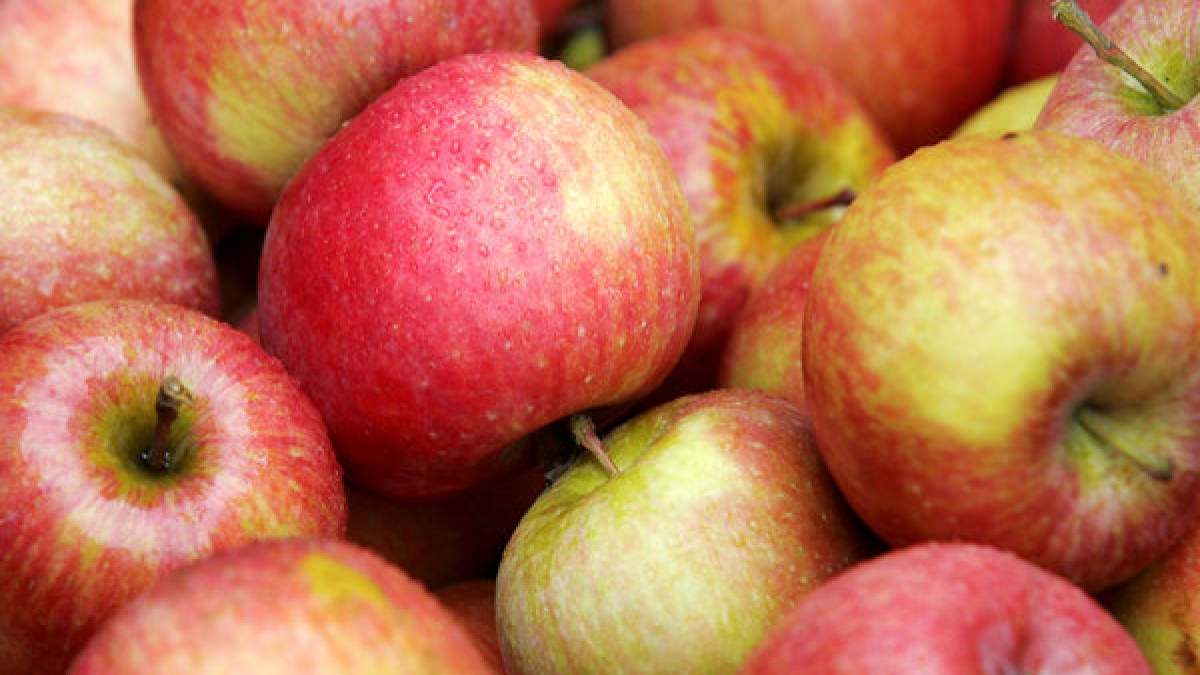Äpfel (Foto)