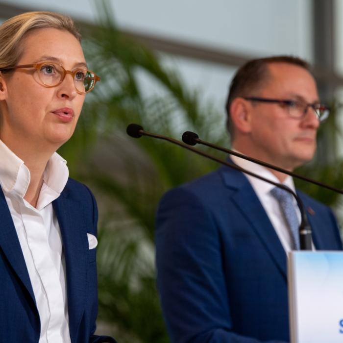 So denken die Deutschen wirklich über ein AfD-Verbot