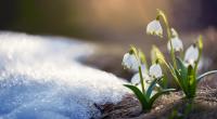Der Winter kehrt im März noch einmal zurück.