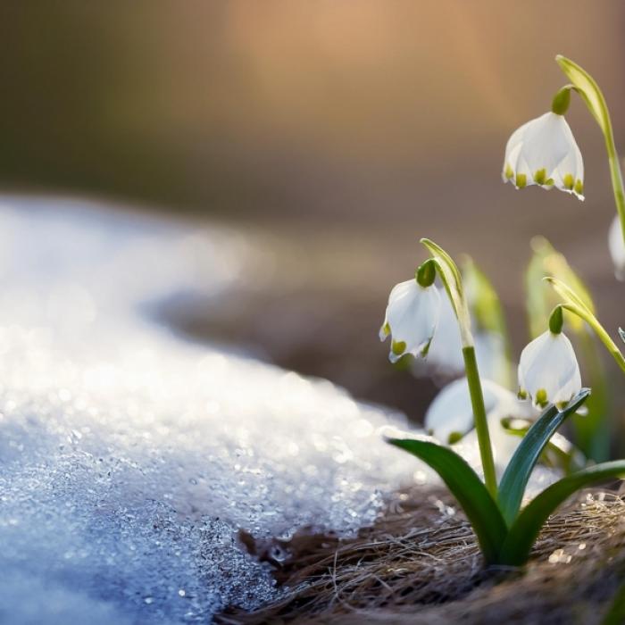 Temperatursturz kündigt sich an - hier drohen Graupel und sogar Schnee
