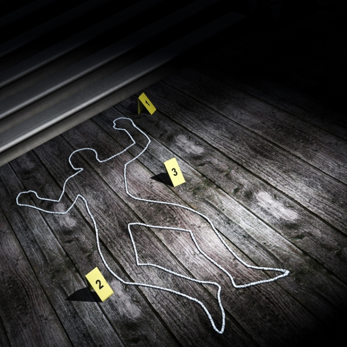 Millionär von Model-Freundin erschossen: Wurde sie für den Mord angeheuert?