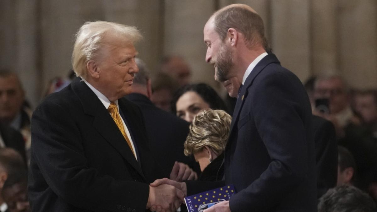 Donald Trump und Prinz William schienen sich bei der feierlichen Wiederer&ouml;ffnung der Kathedrale Notre-Dame bestens zu verstehen. (Foto)