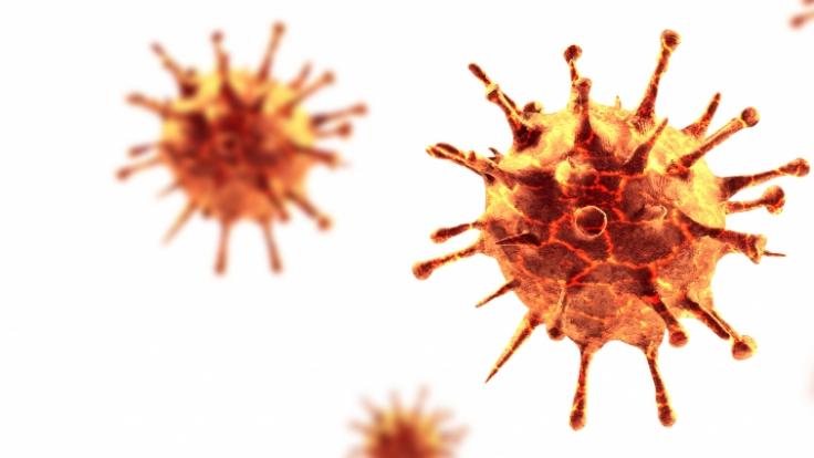 Könnte das Coronavirus innerhalb weniger Wochen mit einer anderen Testmethode ausgerottet werden?