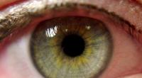 Beheizte Räume, Computer-Arbeit und Zigarettenqualm: Faktoren, die trockene Augen fördern.