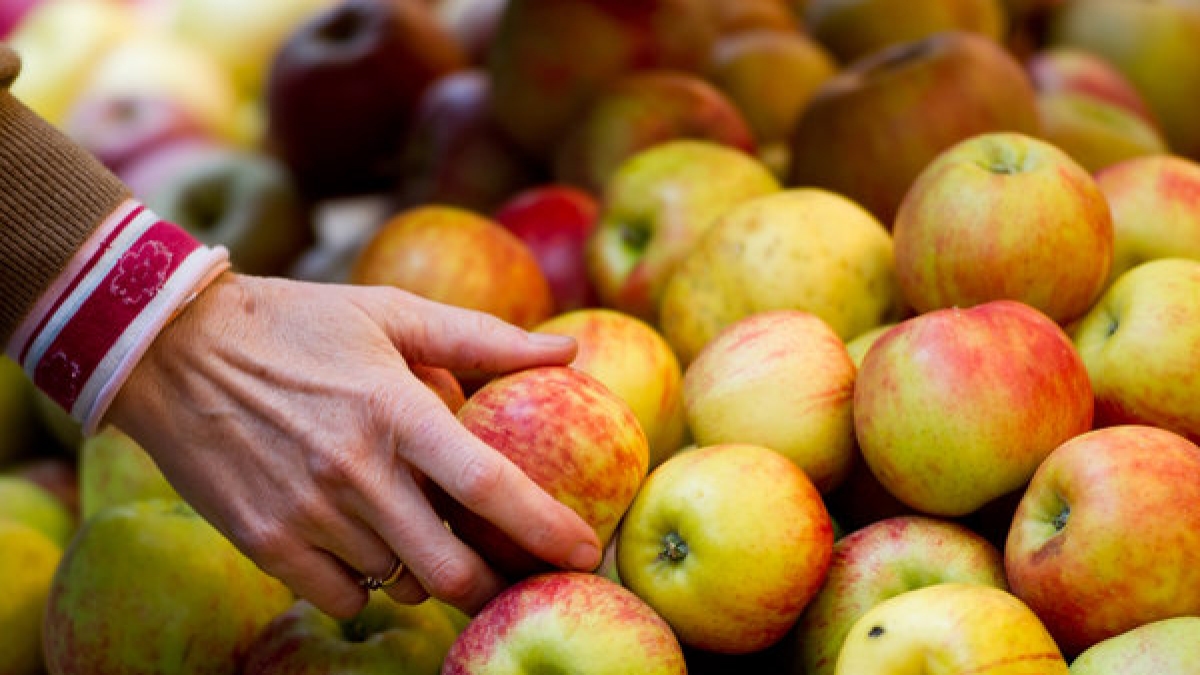Es gibt unz&auml;hlige Ern&auml;hrungsweisen. Eine besonders extreme Form ist der Frutarismus. Bei den Frutariern kommt nur das auf den Tisch, was die Natur ihnen freiwillig gibt, also Fr&uuml;chte und Samen. (Foto)